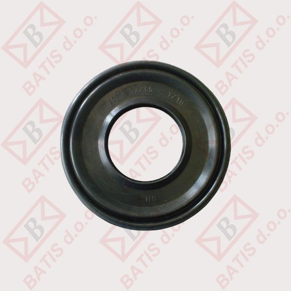 Slika SEM. 30-52/65-7/10 096186