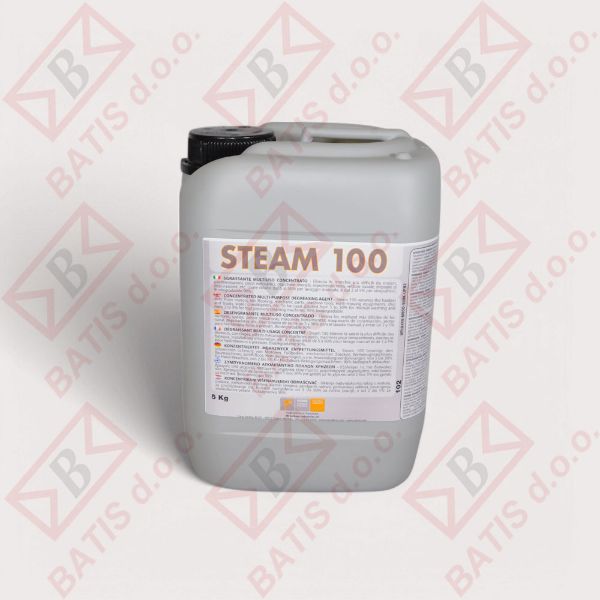 Slika STEAM 100 CLIMA 5/1 KONCENTRAT ZA ČIŠČENJE KLIMATSKIH NAPRAV 5 KG