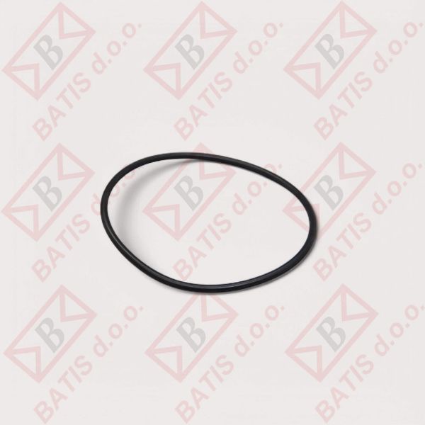 Slika ELETTROBAR 406038 TESNILO ČRPALKE O-OBROČ 76-81 ugo528800