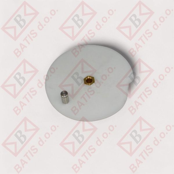 Slika * DISK MOTOR REDUKTOR N55 E21,2581413043/0