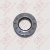 Slika SEM 45,5X84X10/12